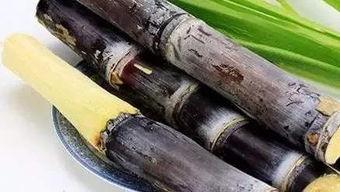 热点爆料甘蔗怎么做视频,视频教程带你轻松学会 第1张 热点爆料甘蔗怎么做视频,视频教程带你轻松学会 第1张