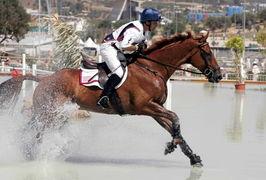 网红骑马爆料视频大全,精彩瞬间尽收眼底 第2张 网红骑马爆料视频大全,精彩瞬间尽收眼底 第2张