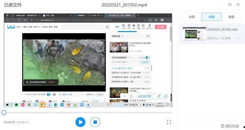 爆料视频录屏有声音吗,声音同步呈现，揭秘事件真相